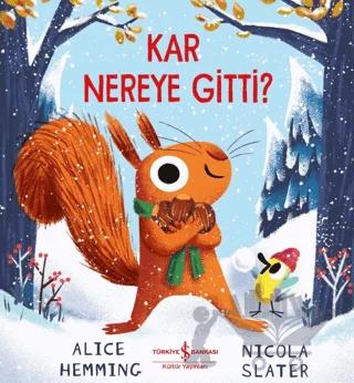 Kar Nereye Gitti?