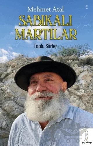 Sabıkalı Martılar – Mehmet Atal – Şey Kitap kitap kapağı