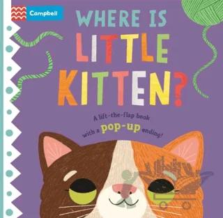 Where is Little Kitten?