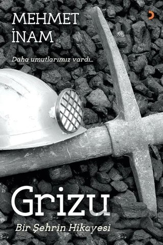 Grizu Bir Şehrin Hikayesi – Mehmet İnam – Cinius Yayınları kitap kapağı