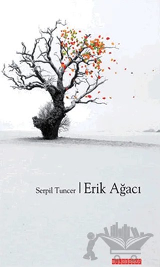 Erik Ağacı – Serpil Tunçer – Bilgeoğuz Yayınları kitap kapağı