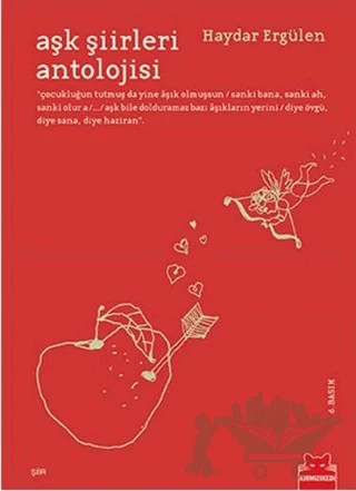 Aşk Şiirleri Antolojisi – Haydar Ergülen – Kırmızı Kedi Yayınevi kitap kapağı