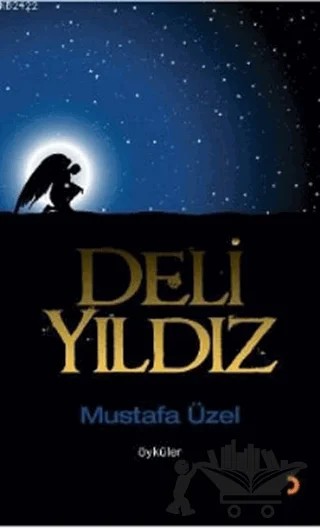 Deli Yıldız – Mustafa Üzel – Cinius Yayınları kitap kapağı