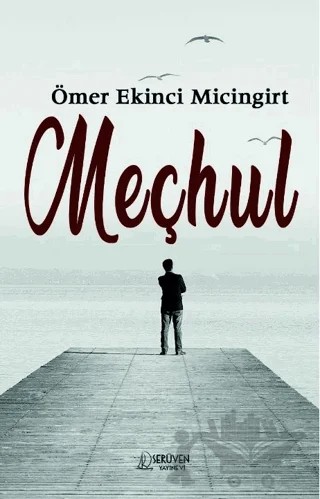 Meçhul – Ömer Ekinci Micingirt – Serüven Yayınevi kitap kapağı