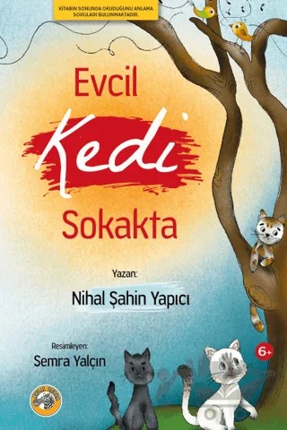 Evcil Kedi Sokakta – Nihal Şahin Yapıcı – Akıllı Zebra kitap kapağı