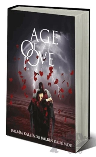 Age of Love – Abdullah Pusar – Sokak Kitapları Yayınları kitap kapağı