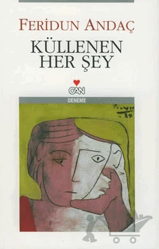 Küllenen Her Şey – Feridun Andaç – Can Yayınları kitap kapağı