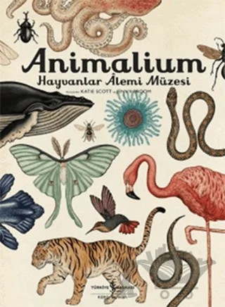 Animalium - Hayvanlar Alemi Müzesi – Kolektif – İş Bankası Kültür Yayınları kitap kapağı