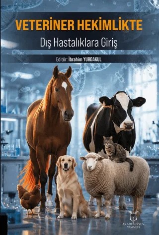 Veteriner Hekimlikte Dış Hastalıklara Giriş – İbrahim Yurdakul – Akademisyen Kitabevi kitap kapağı