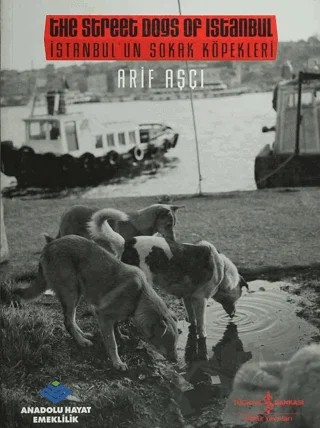İstanbul'un Sokak Köpekleri / The Street dogs Of Istanbul – Arif Aşçı – İş Bankası Kültür Yayınları kitap kapağı