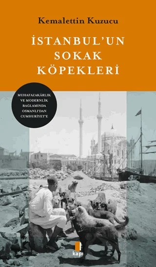 İstanbul'un Sokak Köpekleri – Kemalettin Kuzucu – Kapı Yayınları kitap kapağı