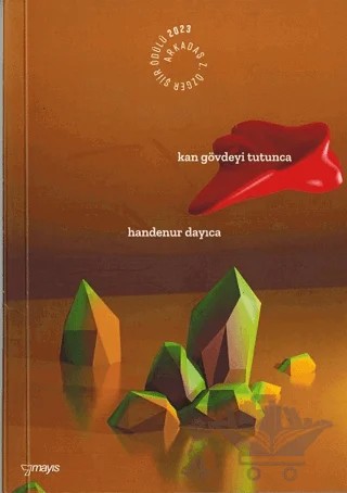 Kan Gövdeyi Tutunca – Handenur Dayıca – Mayıs Yayınları kitap kapağı