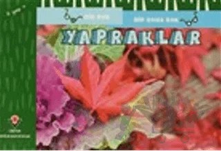 Yapraklar - Bir Bak Bir Daha Bak – David M. Schwartz, Marilyn Marks – TÜBİTAK Yayınları kitap kapağı