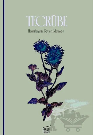 Tecrübe – Kolektif – Filtresiz Kitap kitap kapağı
