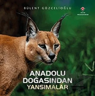 Anadolu Doğasından Yansımalar – Bülent Gözcelioğlu – TÜBİTAK Yayınları kitap kapağı