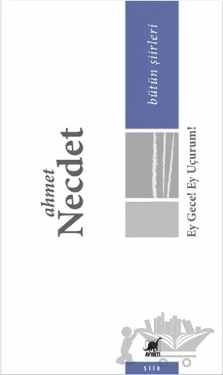 Ey Gece! Ey Uçurum! – Ahmet Necdet – Ayrıntı Yayınları kitap kapağı