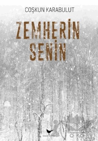 Zemherin Senin – Çoşkun Karabulut – Günce Yayınları kitap kapağı