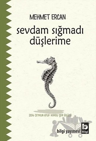 Sevdam Sığmadı Düşlerime – Mehmet Ercan – Bilgi Yayınevi kitap kapağı