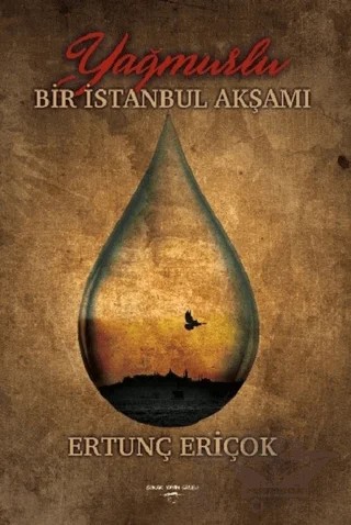 Yağmurlu Bir İstanbul Akşamı – Ertunç Eriçok – Sokak Kitapları Yayınları kitap kapağı