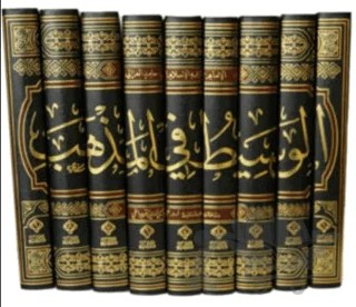 El - Vesit Fi-l Mezheb (9 Cilt) – Ali Muhyiddin el-Karadaği – Nida Yayıncılık kitap kapağı