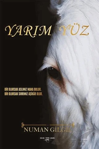 Yarım Yüz – Numan Gilgil – Sokak Kitapları Yayınları kitap kapağı