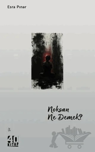 Noksan Ne Demek? – Esra Pınar – 40 Kitap kitap kapağı