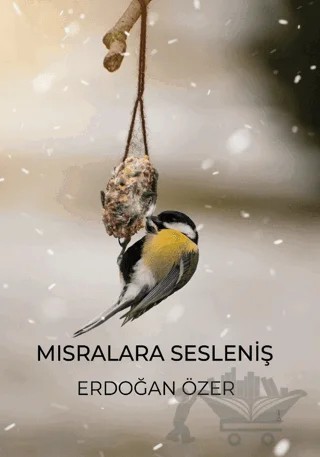 Mısralara Sesleniş – Erdoğan Özer – Odessa Yayınevi kitap kapağı
