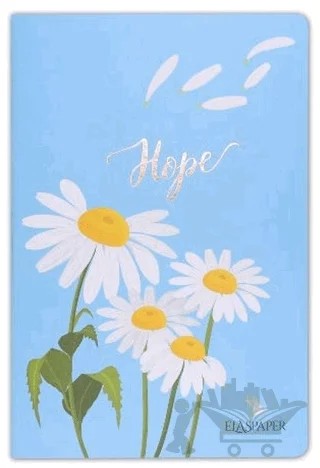 Papatya - Defter – Kolektif – Elaspaper kitap kapağı