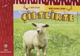 Bir Bak Bir Daha Bak - Çiftlikte – David M. Schwartz, Marilyn Marks – TÜBİTAK Yayınları kitap kapağı
