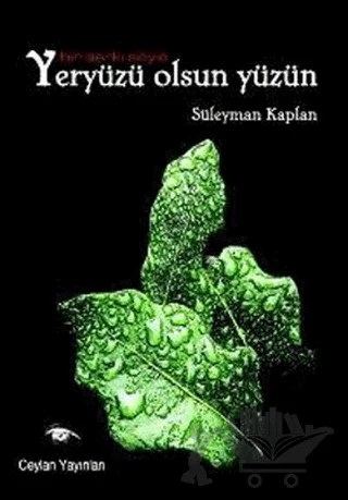 Bir Şarkı Söyle Yeryüzü Olsun Yüzün – Süleyman Kaplan – Ceylan Yayınları kitap kapağı