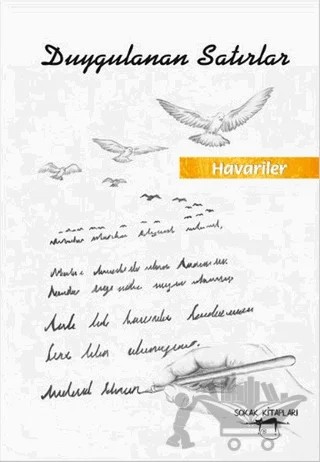 Duygulanan Satırlar – Havariler – Sokak Kitapları Yayınları kitap kapağı