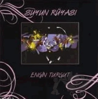 Suyun Rüyası – Engin Turgut – Artshop Yayıncılık kitap kapağı
