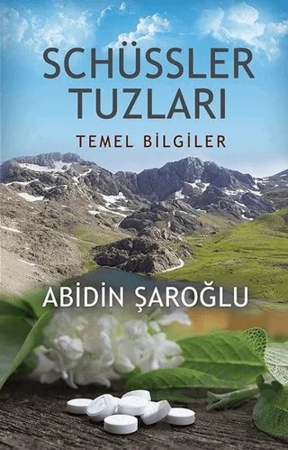 Schüssler Tuzları – Abidin Şaroğlu – Onbir Yayınları kitap kapağı