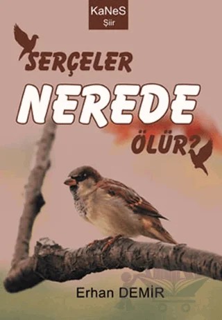 Serçeler Nerede Ölür? – Erhan Demir – Kanes Yayınları kitap kapağı