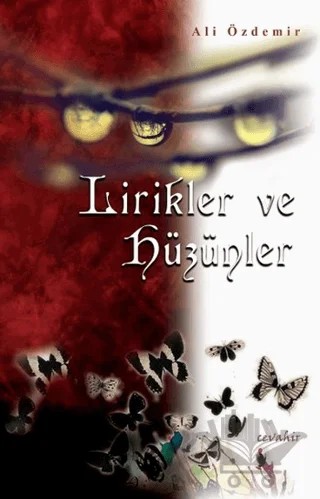 Lirikler ve Hüzünler – Ali Özdemir – Cevahir Yayınları kitap kapağı