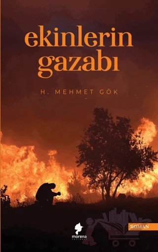 Ekinlerin Gazabı – Hacı Mehmet Gök – Morena Yayınevi kitap kapağı