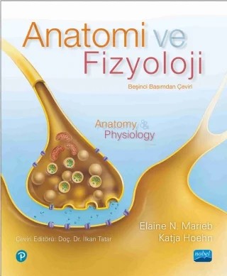 ANATOMİ VE FİZYOLOJİ - Anatomy & Physiology – Elaine N. Marieb, Katja Hoehn – Nobel Akademik Yayıncılık kitap kapağı