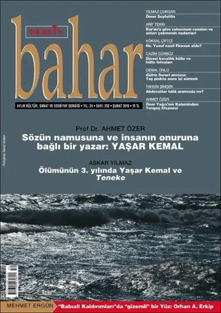 Berfin Bahar Aylık Kültür Sanat ve Edebiyat Dergisi Sayı: 252 Şubat 2019 – Berfin Bahar Dergisi kitap kapağı