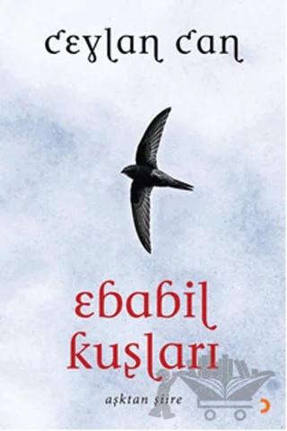 Ebabil Kuşları – Ceylan Can – Cinius Yayınları kitap kapağı