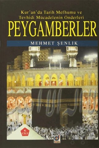 Peygamberler 4. Cilt – Mehmet Şenlik – Dua Yayınları kitap kapağı