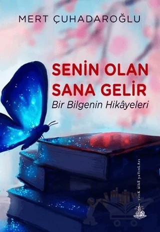 Senin Olan Sana Gelir – Mert Çuhadaroğlu – Yitik Ülke Yayınları kitap kapağı