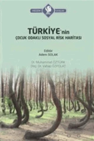 Türkiye'nin Çocuk Odaklı Sosyal Risk Haritası – Muhammet Öztürk, Vahap Özpolat – Hegem Yayınları kitap kapağı