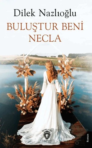 Buluştur Beni Necla – Dilek Nazlıoğlu – Dorlion Yayınları kitap kapağı