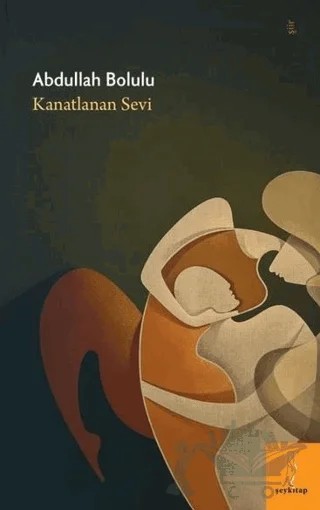 Kanatlanan Sevi – Abdullah Bolulu – Şey Kitap kitap kapağı