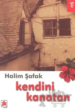 Kendini Kanatan – Halim Şafak – İdil Yayınları kitap kapağı