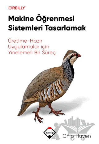 Makine Öğrenmesi Sistemleri Tasarlamak – Chip Huyen – Buzdağı Yayınevi kitap kapağı