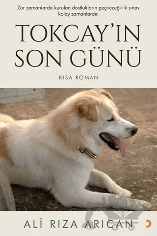 Tokcay’ın Son Günü – Ali Rıza Arıcan – Cinius Yayınları kitap kapağı