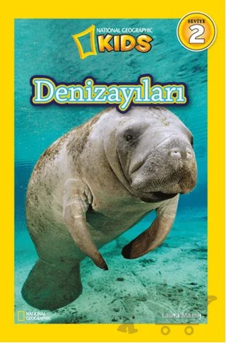 Denizayıları – Laura Marsh – Beta Kids kitap kapağı
