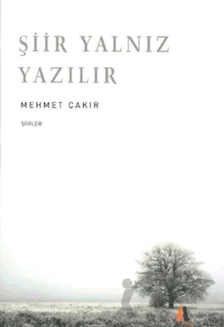 Şiir Yalnız Yazılır – Mehmet Çakır – Akis Kitap kitap kapağı