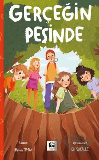 Gerçeğin Peşinde – Havva İrmak – Çınaraltı Yayınları kitap kapağı